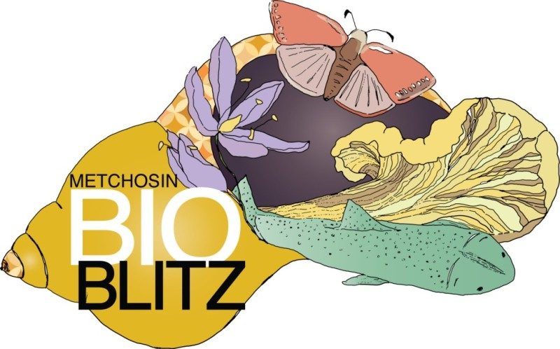 cropped-Bioblitz-logo-small-generic.jpg